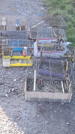 През изминалата неделя експерти на Регионалната инспекция по околната среда