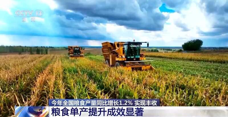 По данни на Държавното статистическо бюро през 2025 г общото