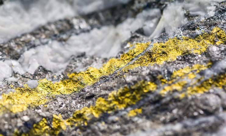 През изминалите пет години в североизточната китайска провинция Дзилин са