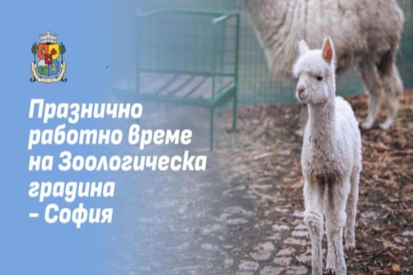 В дните около Коледа Зоологическата градина ще работи без почивен