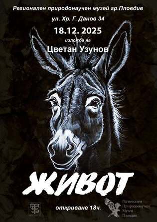 Какво се случва когато енергията на уличното изкуство срещне тишината