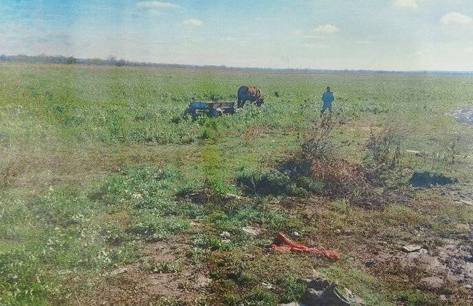 Търговец разположил сергия със светещи играчки при запалването на коледните
