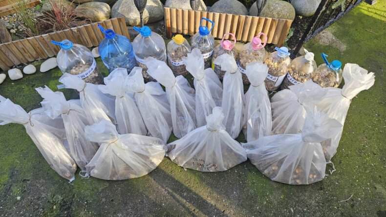 Само за 5 дни от предходното предаване на 576 кг