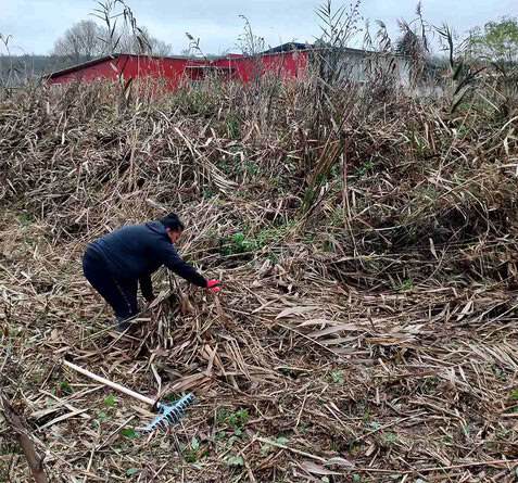 Във Варна стартира основното почистване на 70 участъка от отводнителни